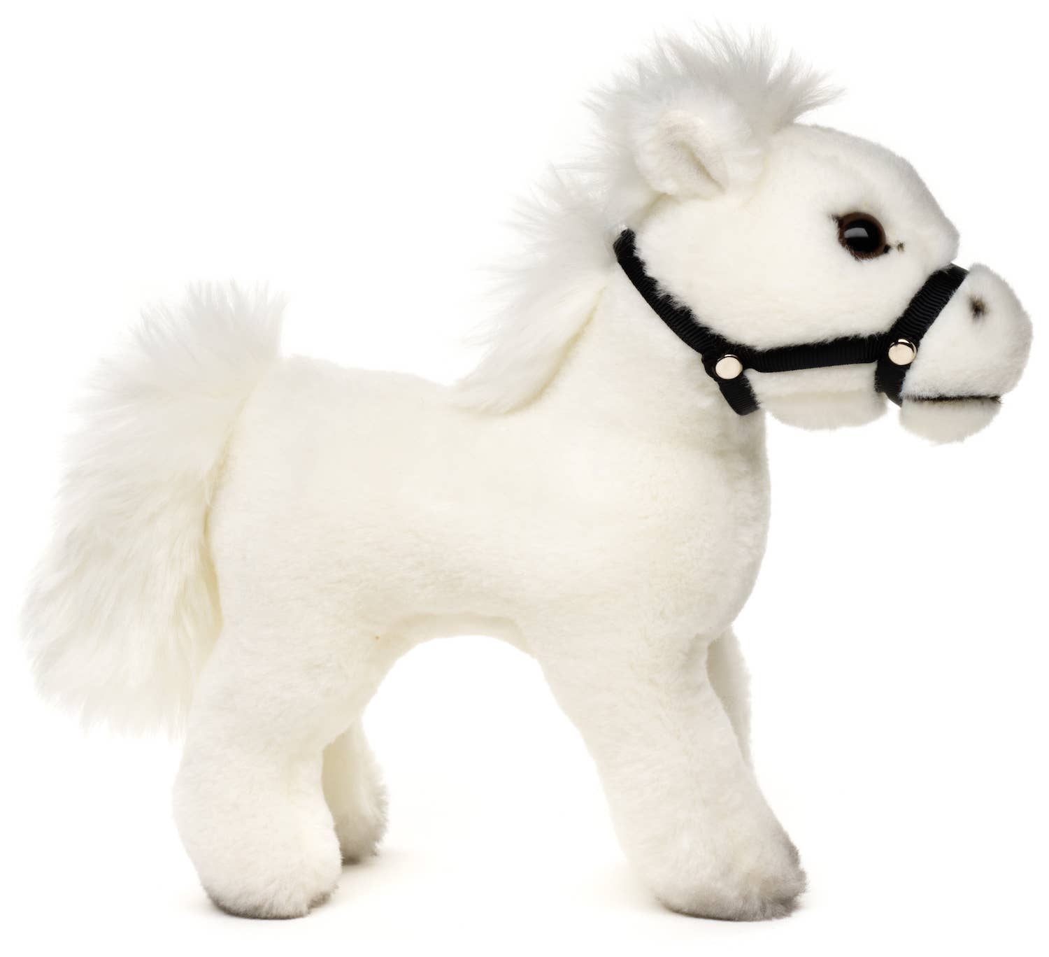 Seisova valkoinen hevonen