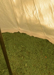 Saxon teltta Jorvik, 5x7m